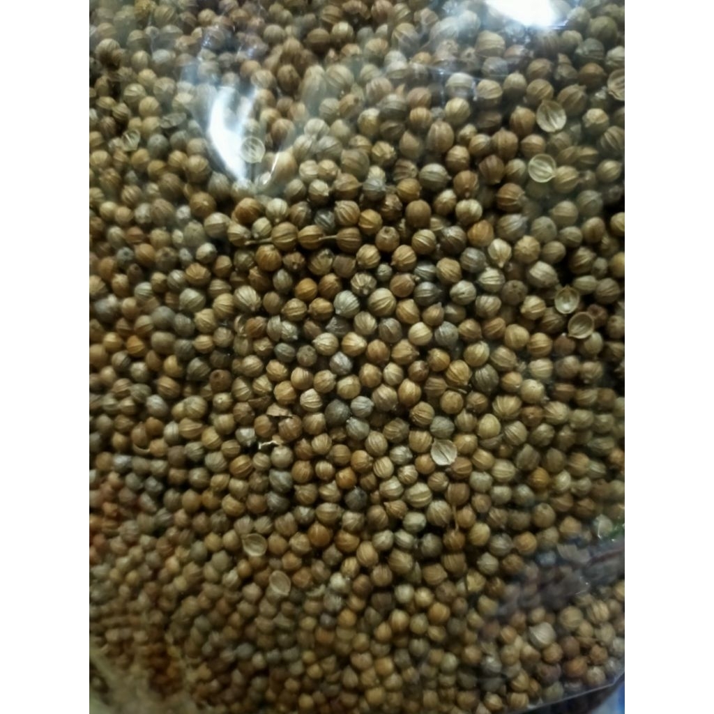 

biji ketumbar Hitam Asli dan kering 250 gr