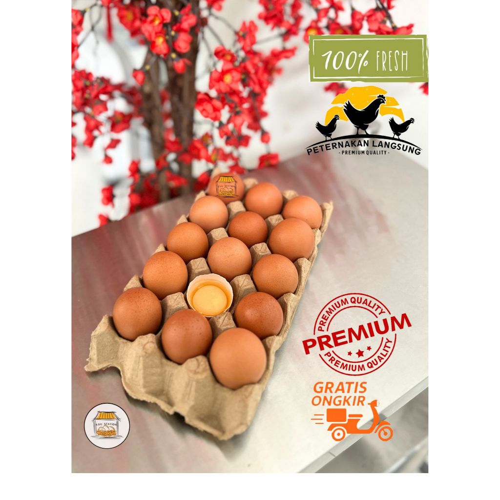 

Telur Ayam Negeri PREMIUM - 15 butir FRESH Grade A Bersih Kualitas Terbaik