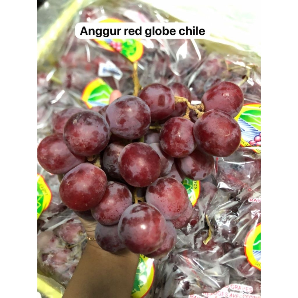 

anggur red globe pampas /kg