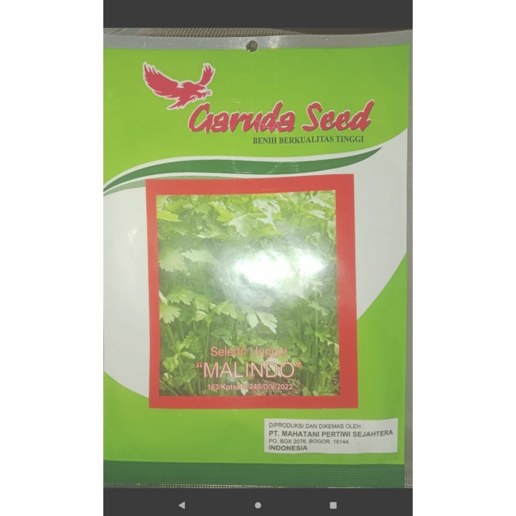Garuda seed seledri unggul MALINDO