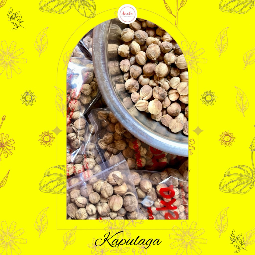 

Kapulaga Aneka Bumbu 50gr