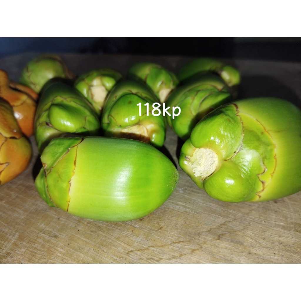

Beluluk/Tembuluk/ Kelapa Kecil Hijau Dan Kuning Fresh Obat Diabetes