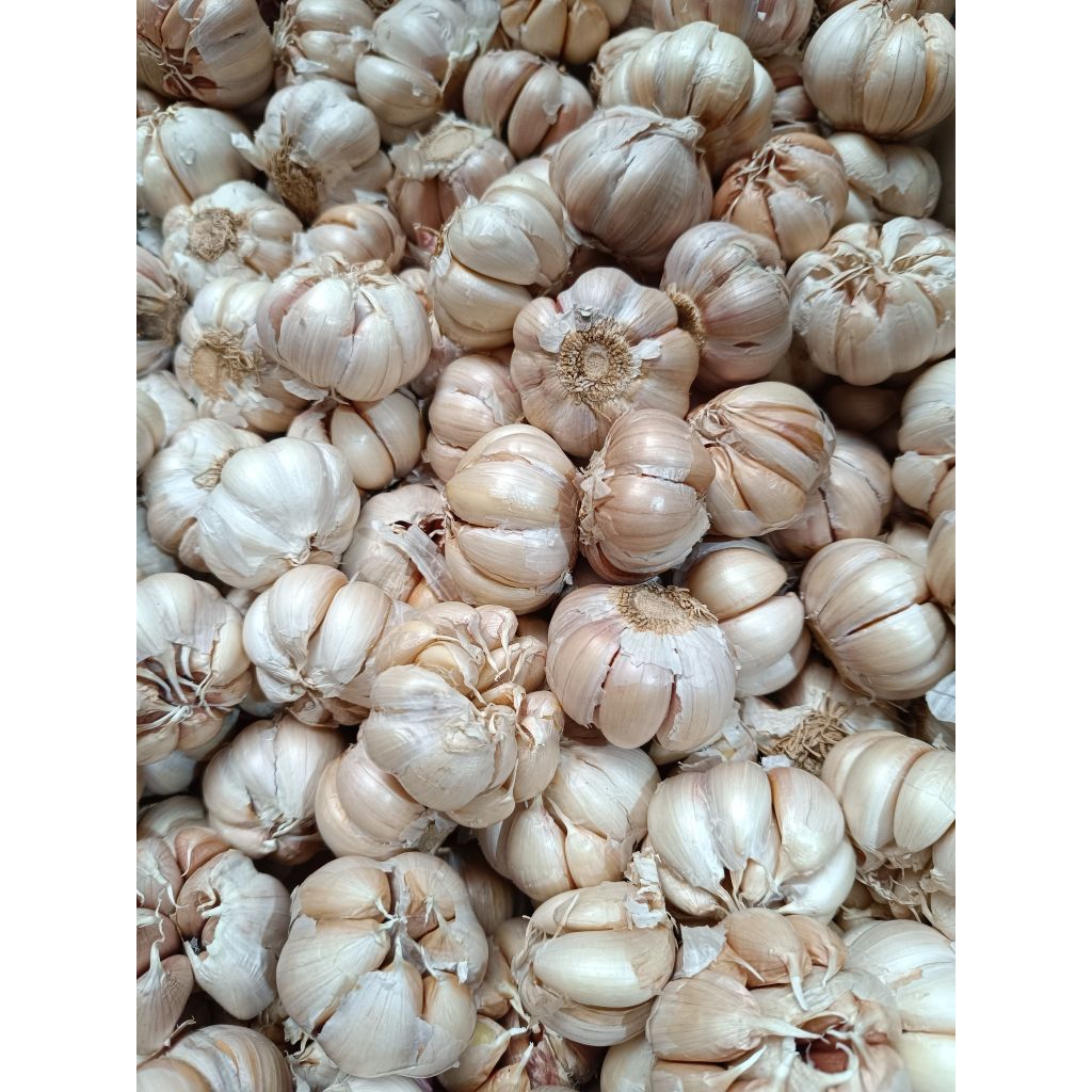 

bawang putih kemasan 250gr
