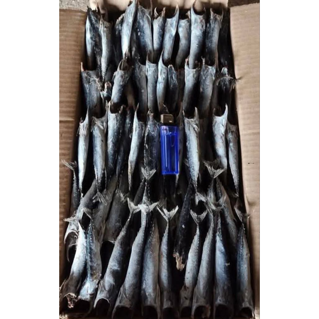 

Ikan Rebus Tongkol PK 500 Gram