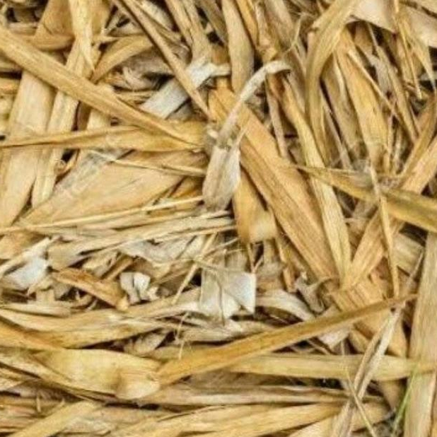 

Daun Bambu Kering Cacahan 100Gram