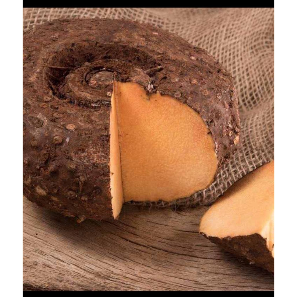 

umbi suweg asli fresh segar termurah 1 kg