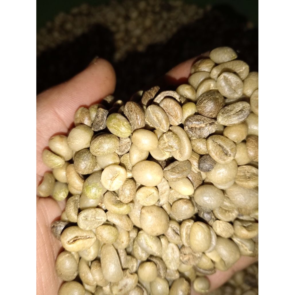 

greenBean biji kopi robusta wonosalam
