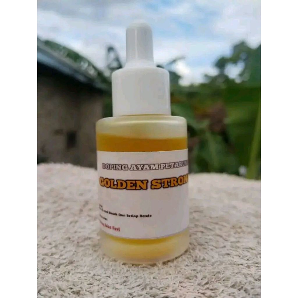 cupang lokal lampung