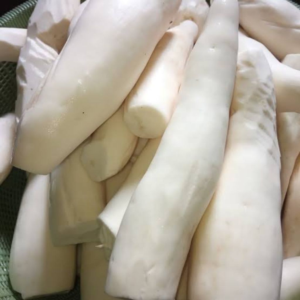 

Singkong Kupas Bersih 1kg