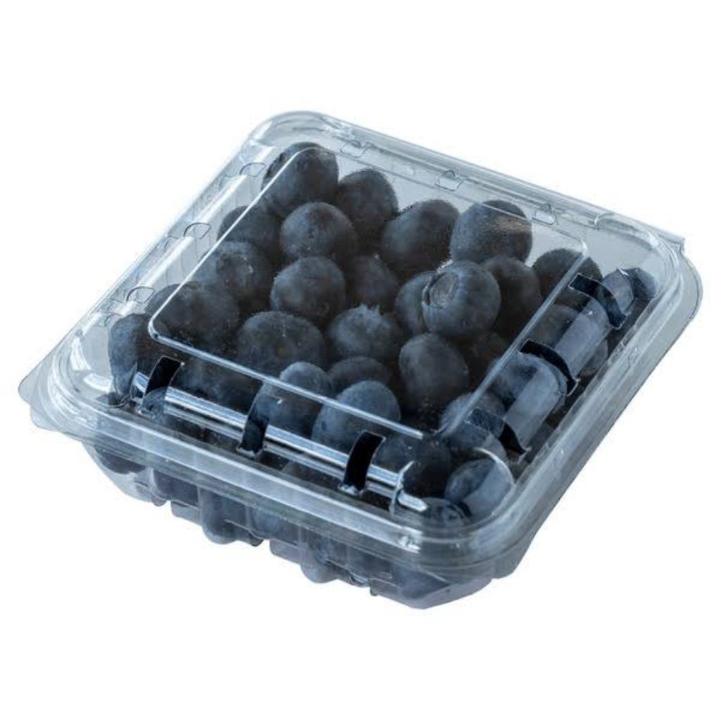 

buah blue berry pack kecil