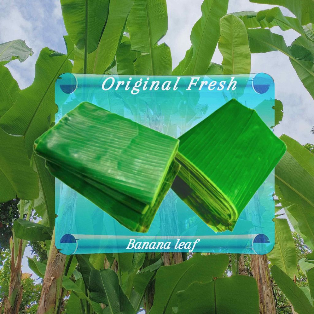 

Daun Pisang Klutuk/Batu