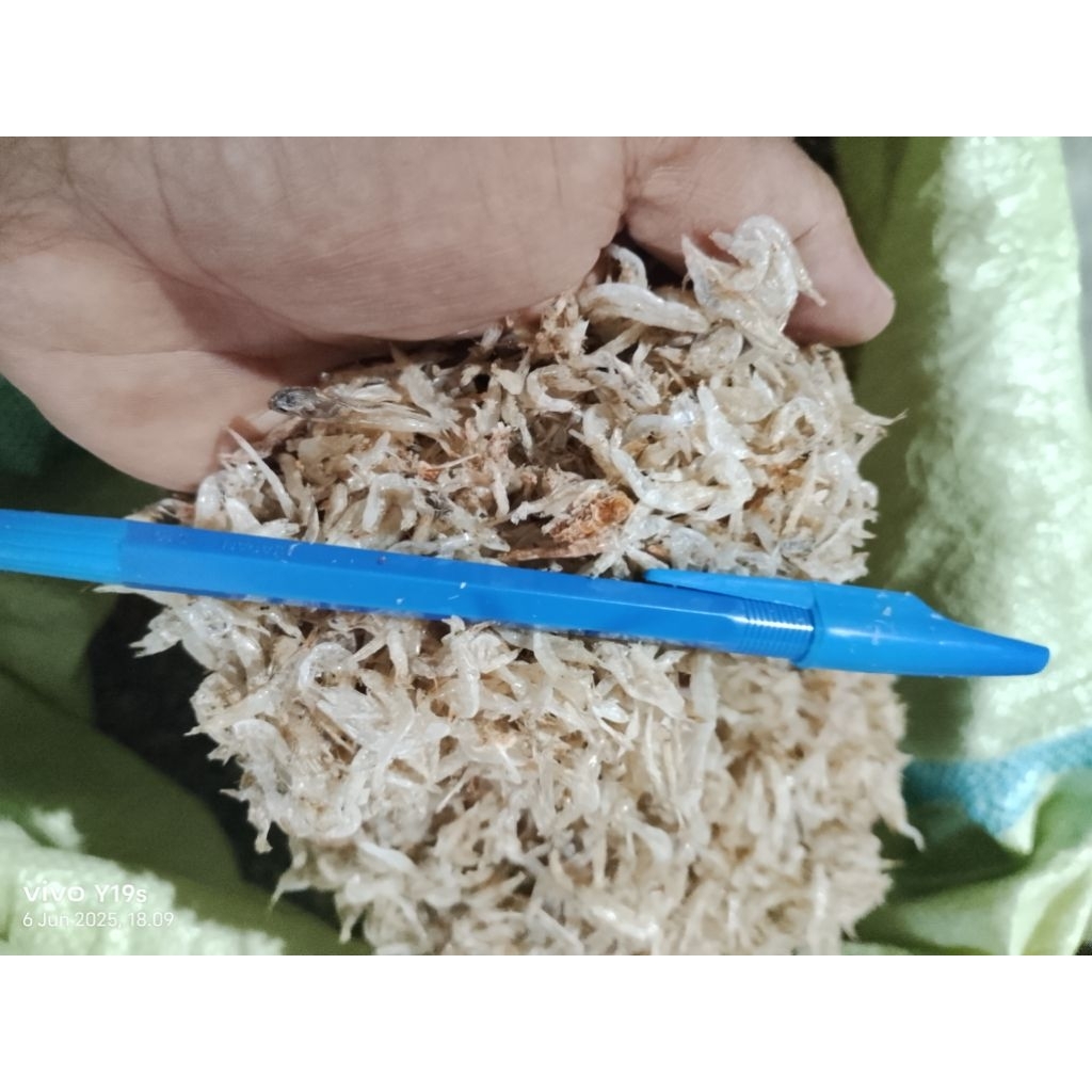 

udang kecepe kering tawar