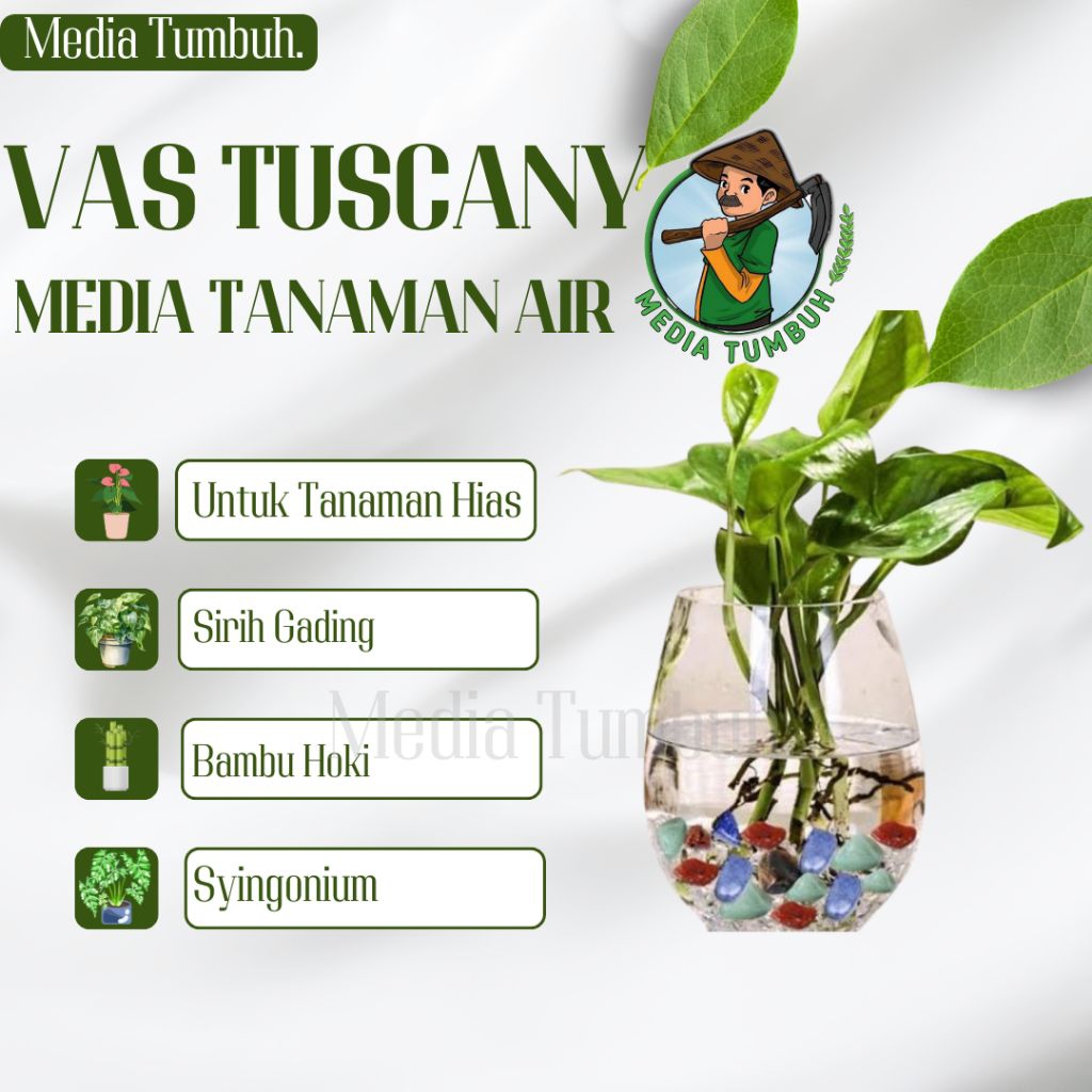 Vas Bunga Kaca Bulat Tuscani / Pot Tanaman Air Hidroponik / Hiasan Meja