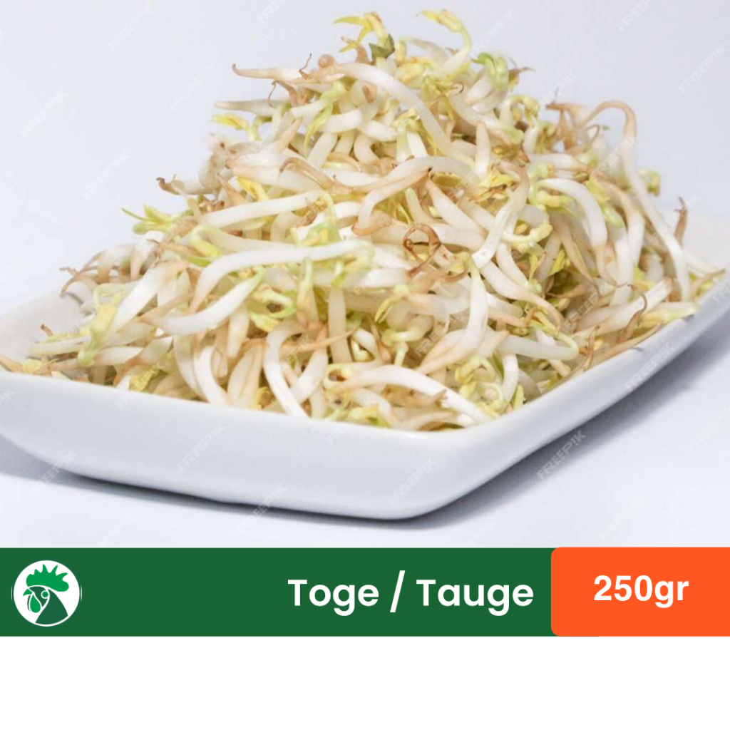

Tauge - Sayur Toge Panjang Segar
