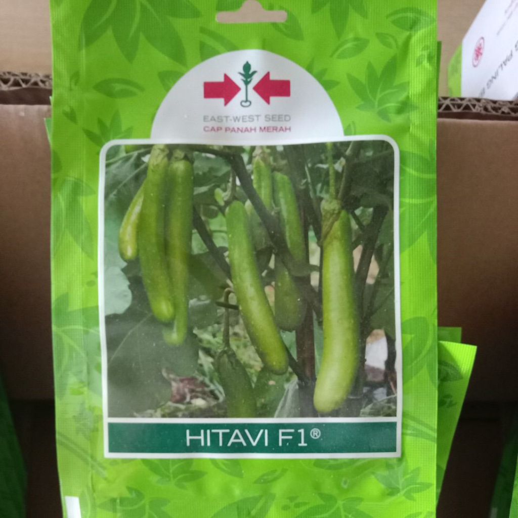 terong hijau hitavi f1