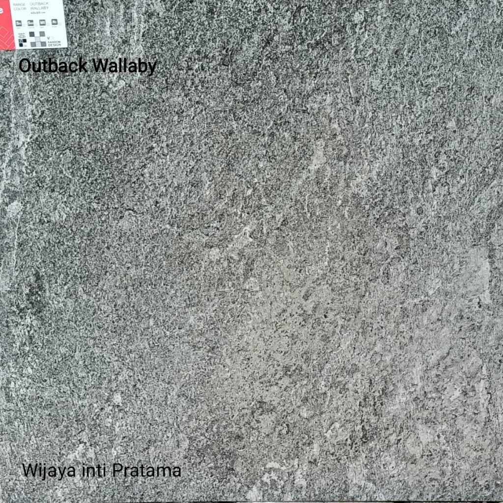 Granit tile Artile Outback Wallaby 60x60 Rustic