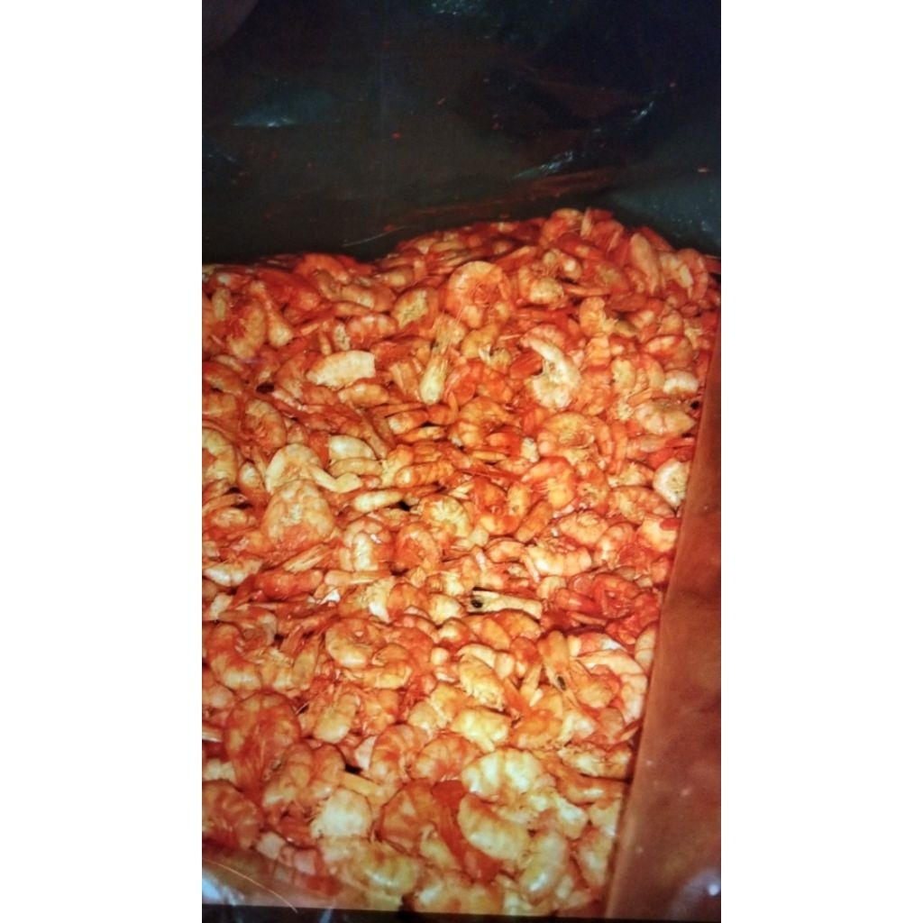 

Udang Ebi Daging Asli isi 1000 gram || Kualitas Super