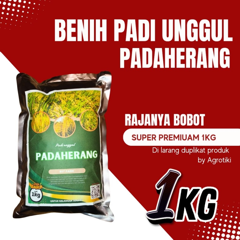 benih padi unggul padaherang benih padi berkualitas unggul kemasan 1kg