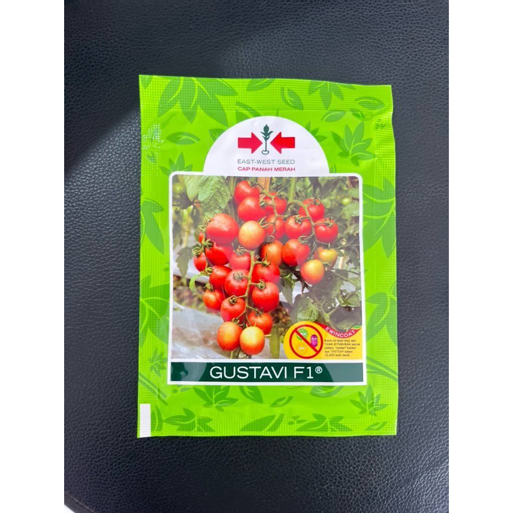 Bibit Tomat Gustavi F1 Panah Merah