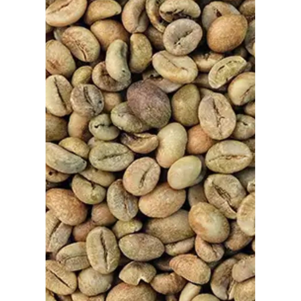 

biji kopi robusta dampit