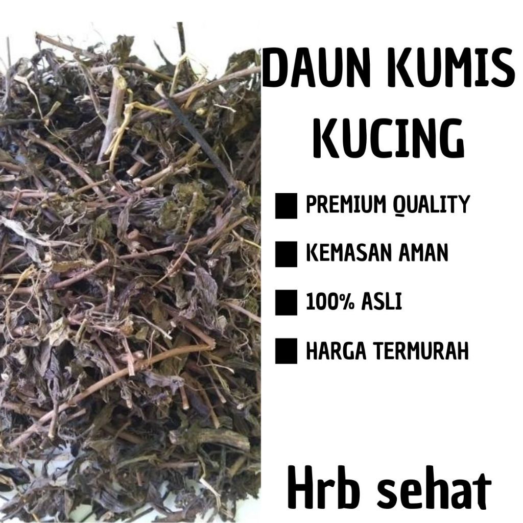 

Daun Kumis Kucing Kering Atasi Batu Ginjal Hipertensi Asam Urat