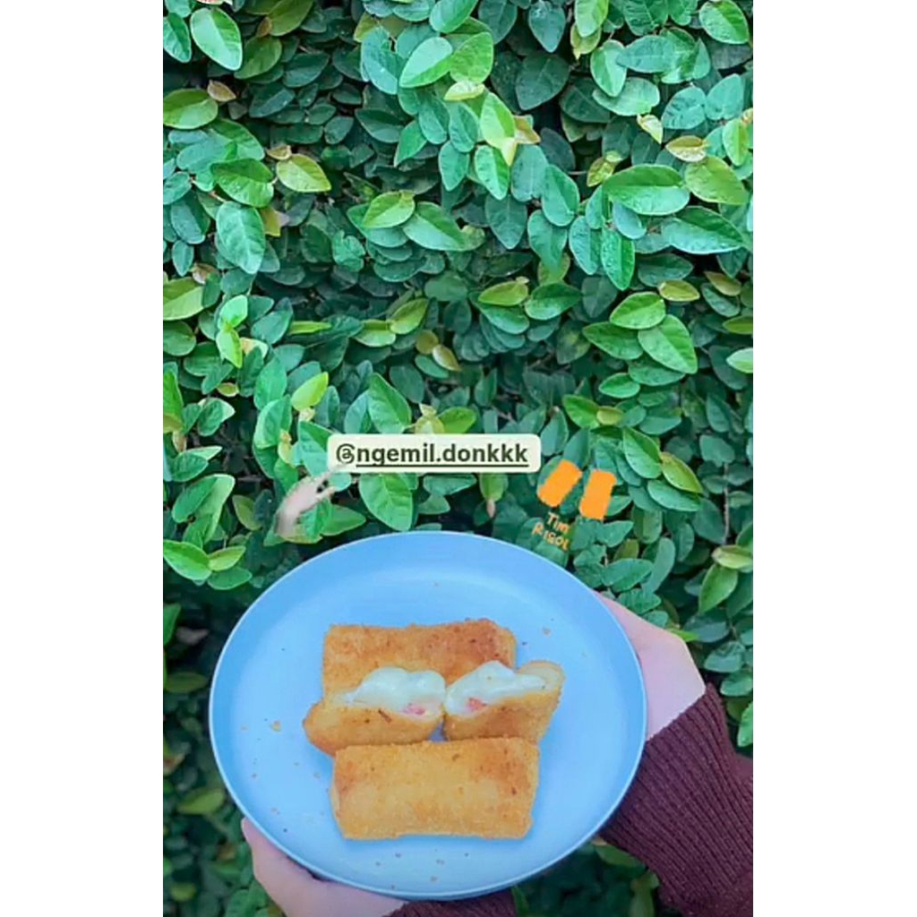 

Risol Mayo // Frozen