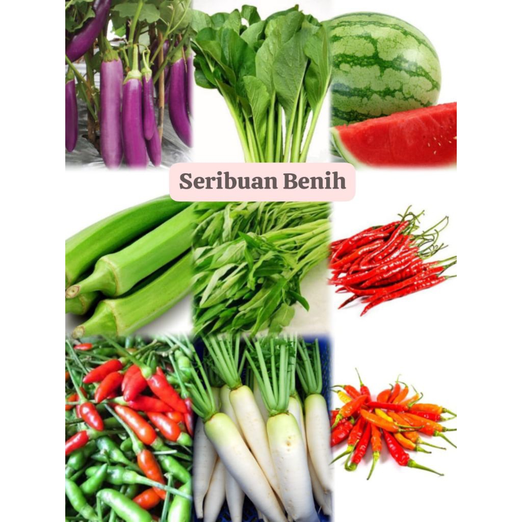 

Benih sayur serba seribuan