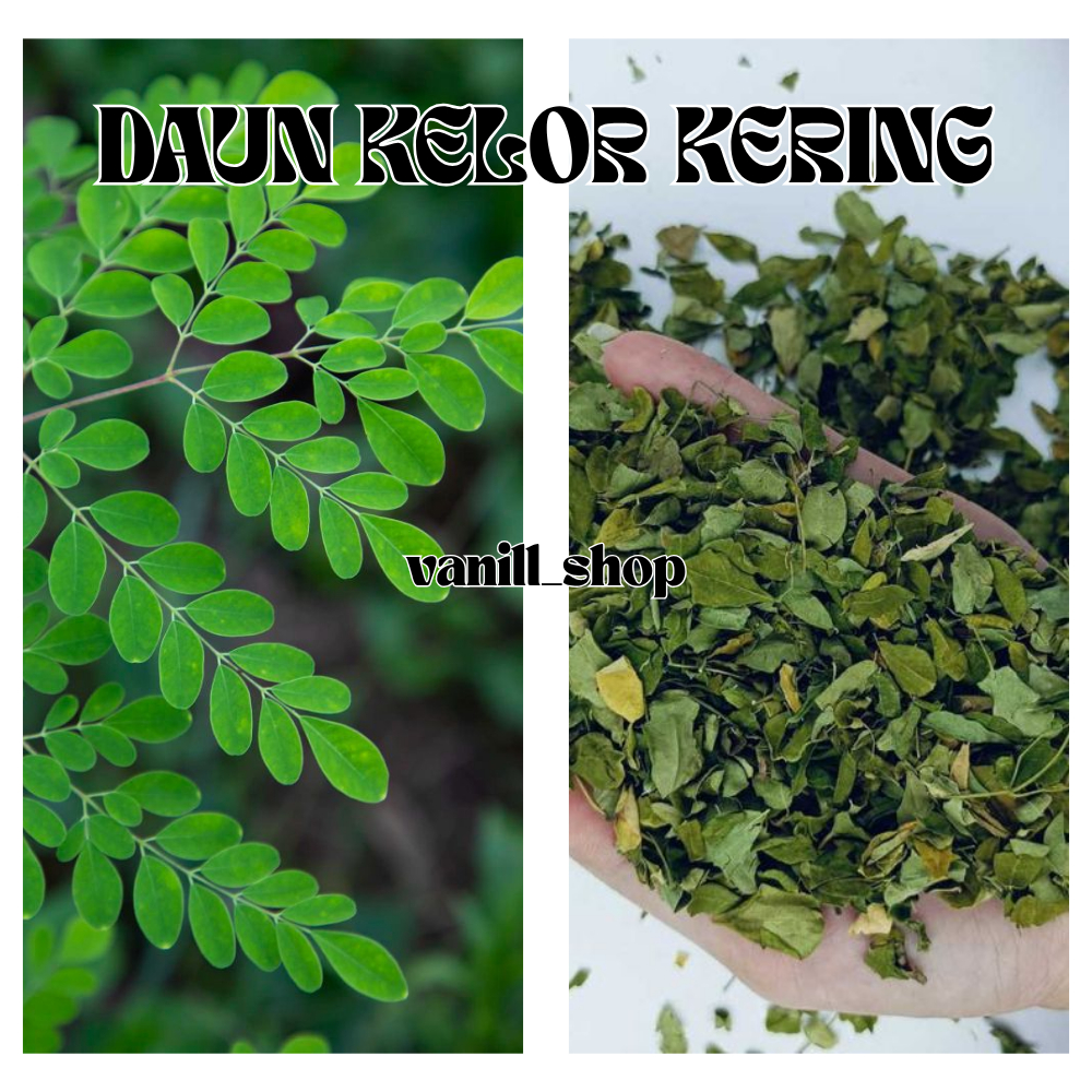 

【VANILL_S】SALE!!! Daun Kelor Kering 500 Gr | Daun Kelor Kering | Daun Moringa Murni