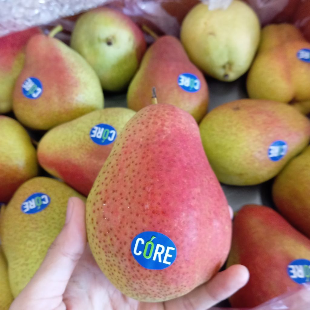 

Pear Forelli (Blush Pears) kurleb 1 kg