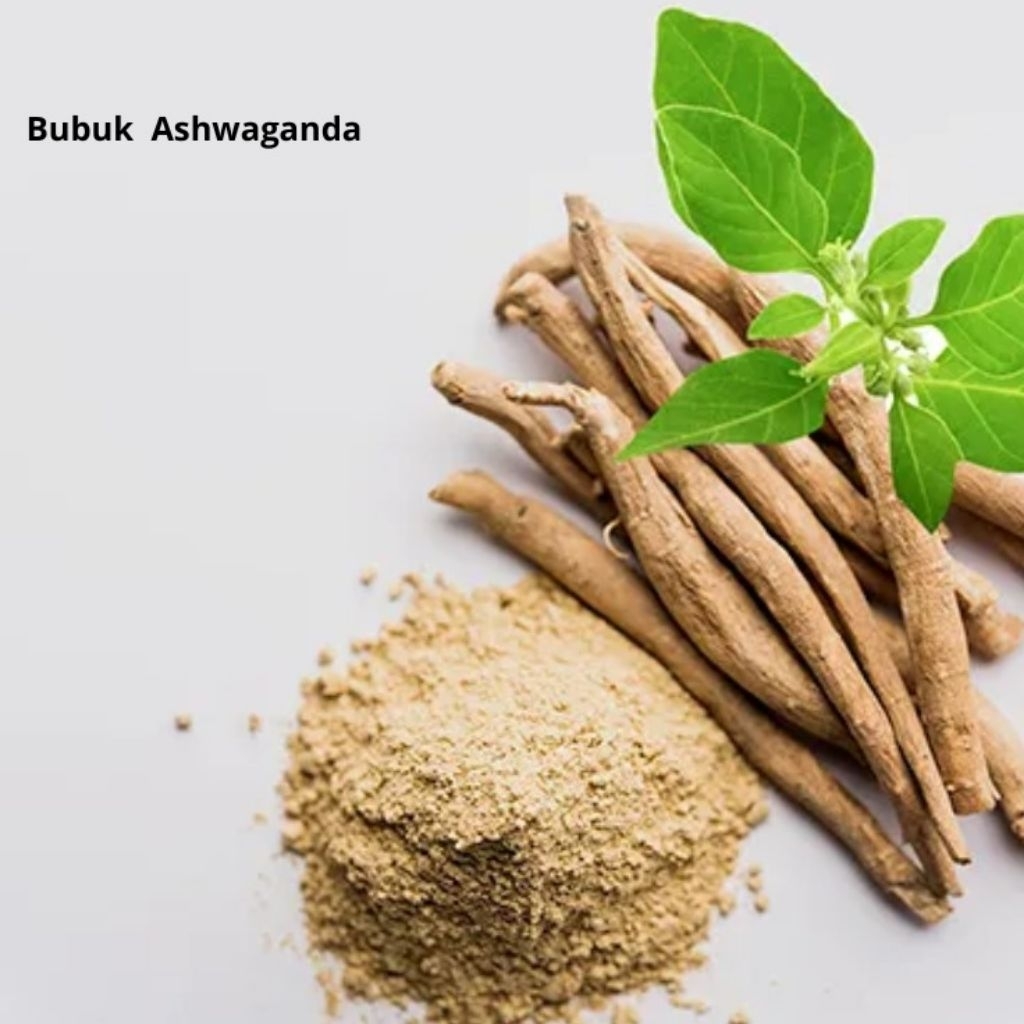 

Bubuk Serbuk Ashwaganda (Withania somnifera) 50 Gram 100 Gram 100% Asli