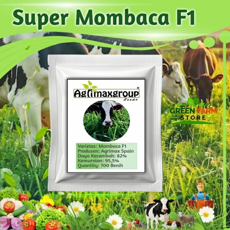 Benih Rumput Agrimax Super Mombaca F1 Original Kemasan Repack (700biji) / Bibit Rumput Mombaca F1 Su