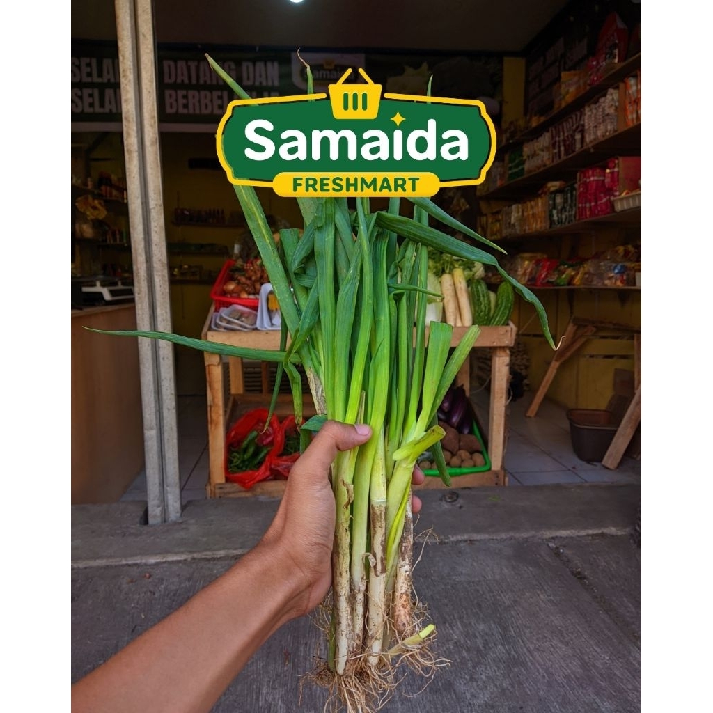 

Bawang Daun 100 gr Murah Bersih Segar Langsung dari Petani