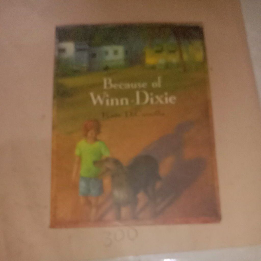 BECAUSE OF WINN DIXIE KATE  DICAMILO