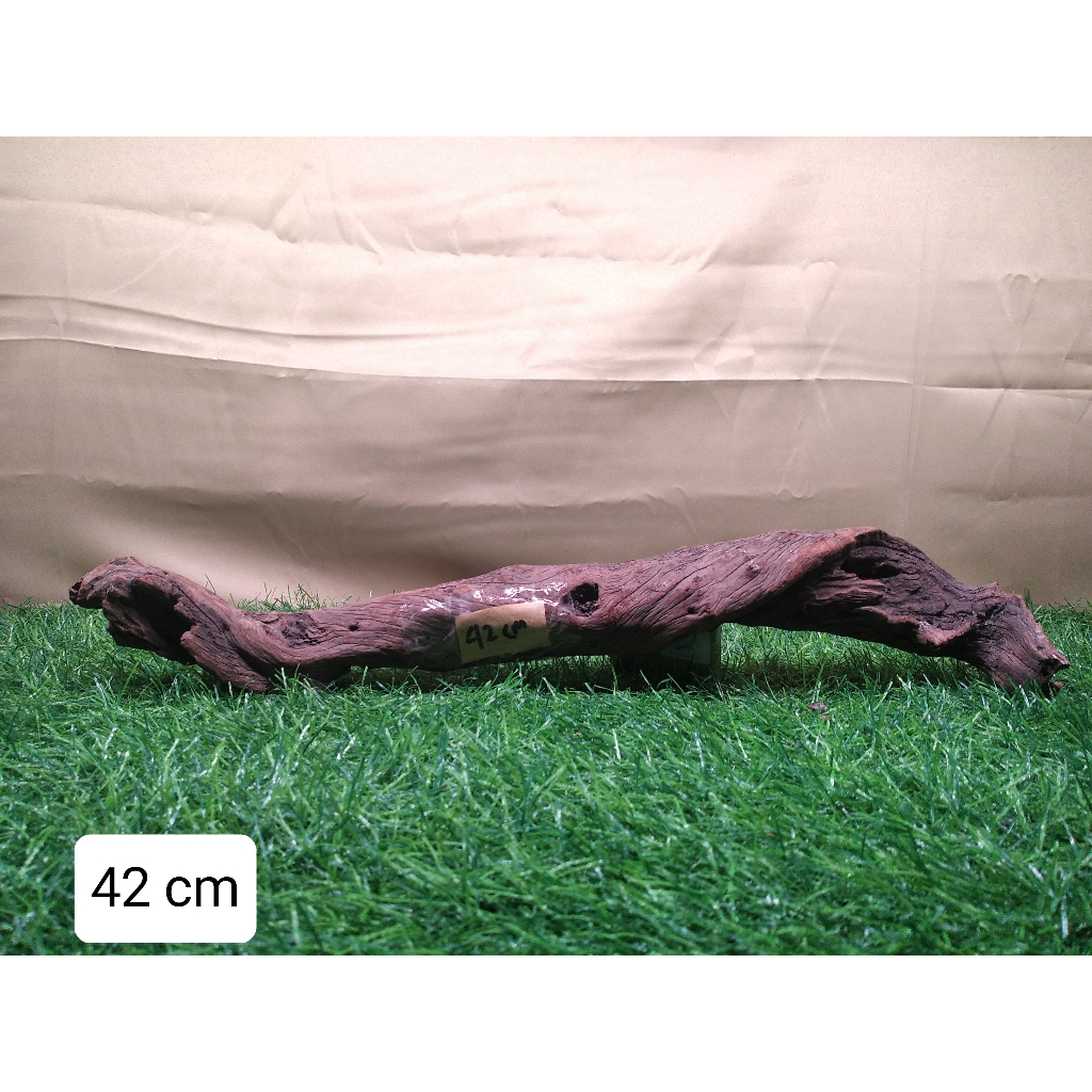 Glaciaamart Kayu Santigi Laut Sudah Tenggelam Aquascape Berkarakter Hardscape