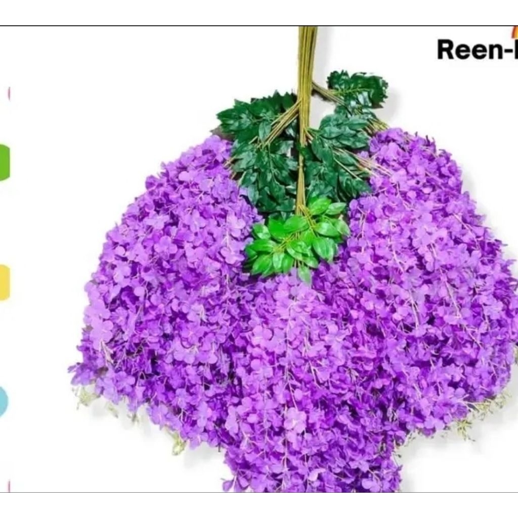 1 lusin wisteria gantung ungu