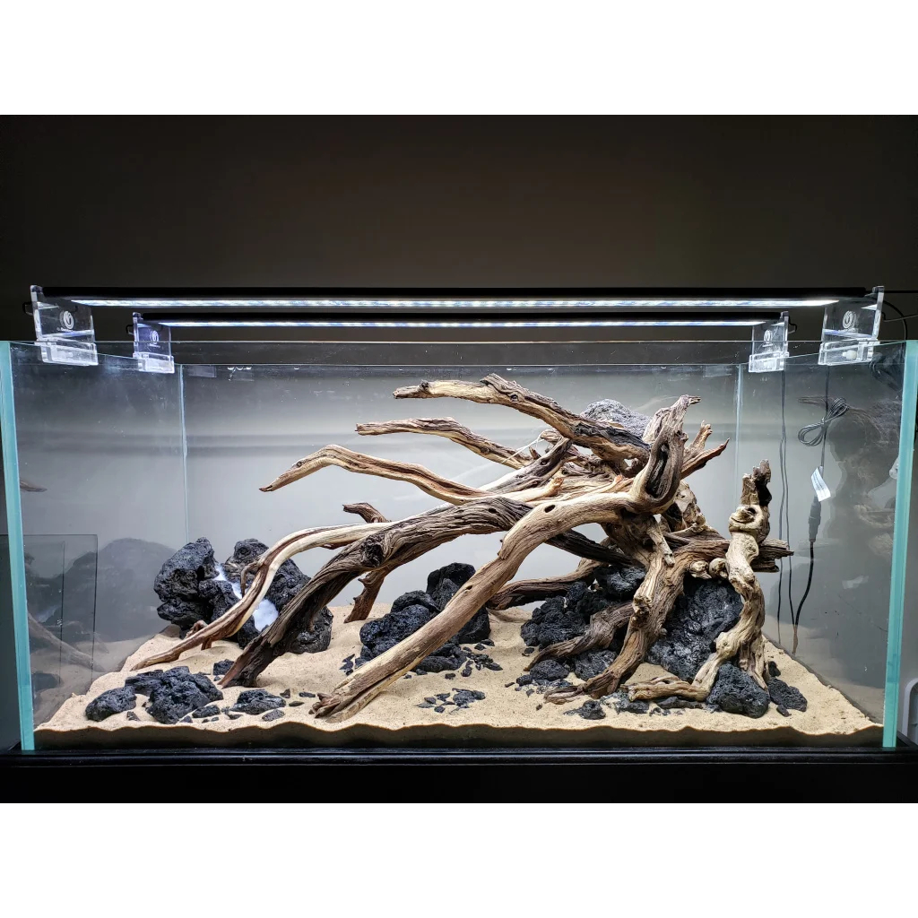 KAYU SANTIGI LAUT SUDAH TENGGELAM AQUASCAPE BERKARAKTER HARDSCAPE