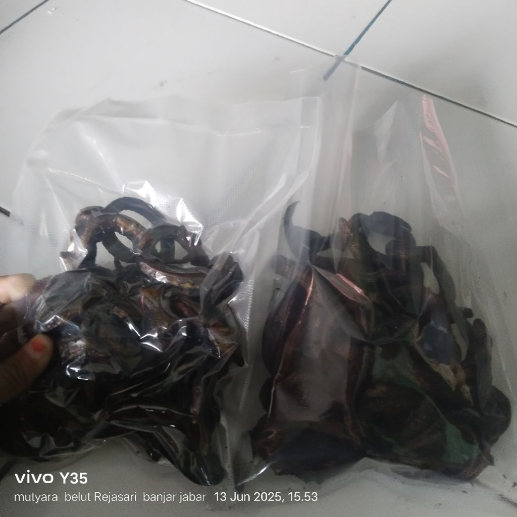 

Belut bakar frozen food