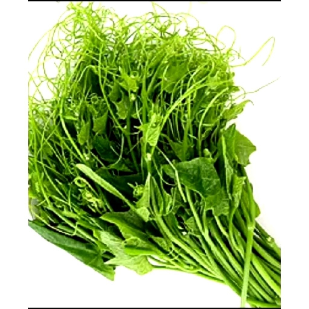 

pucuk labu Siam 300g