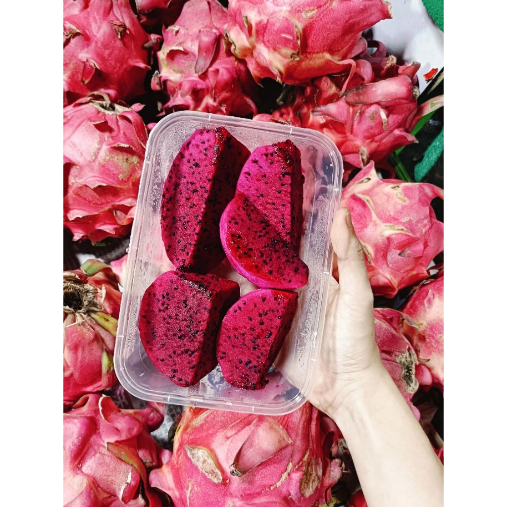 

Buah Potong Naga potongan besar