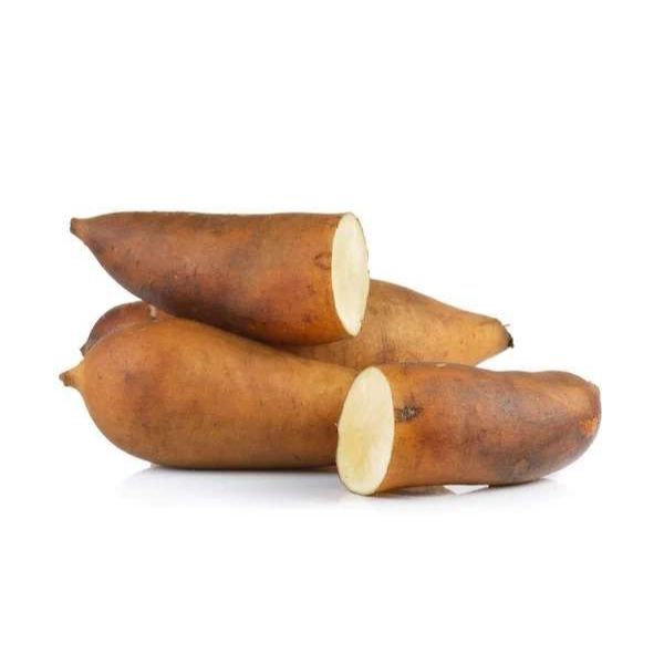 Rimpang Umbi Yakon dan Bibit Umbi Yakon Valid bisa COD