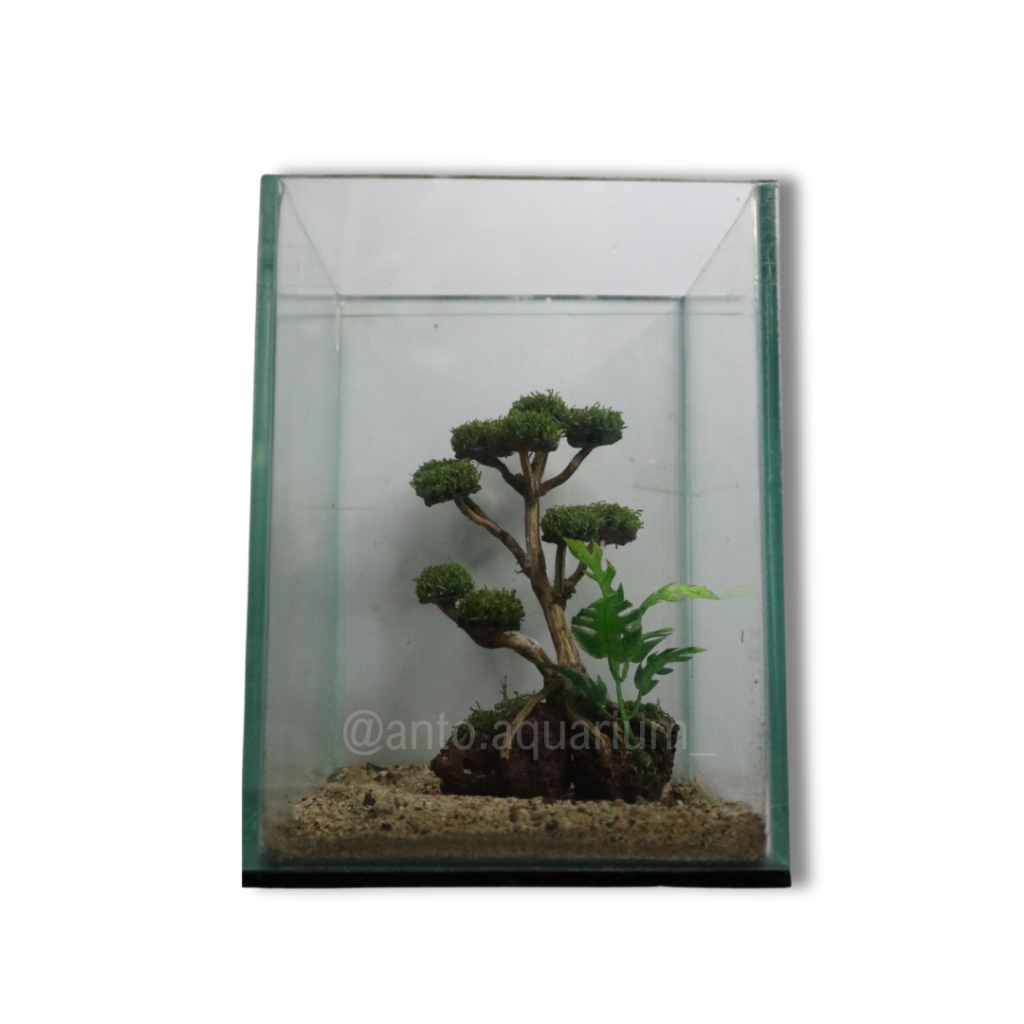Bonsai Aquarium Full Set | Aquascape Mini | Paket Komplit Akuarium