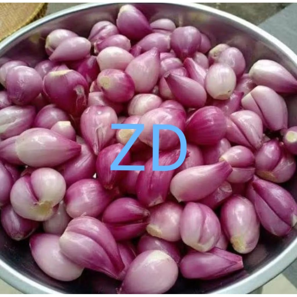 

Bawang merah kupas fresh