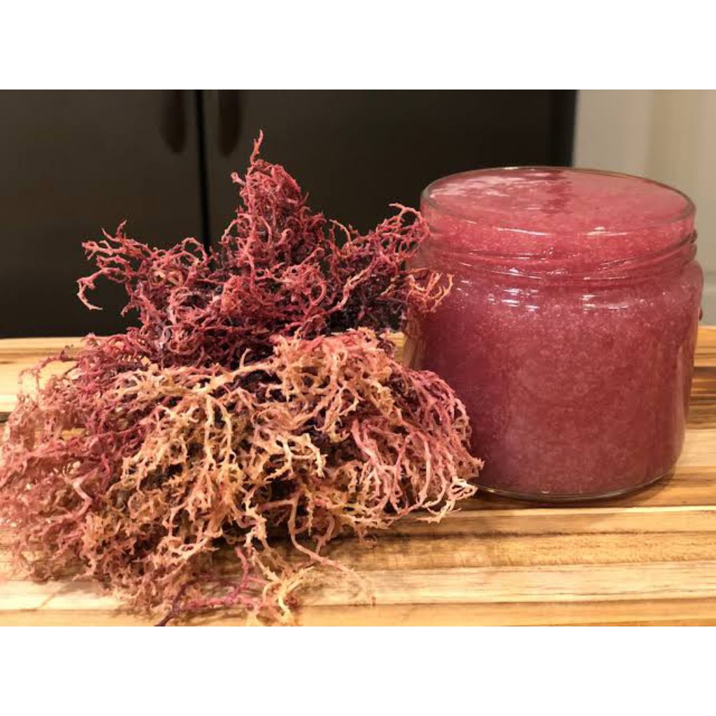 

Sea Moss Gel Red rumput laut conttoni