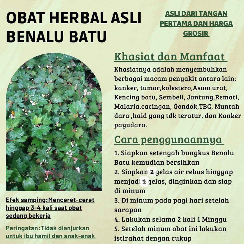 

BENALU BATU ASLI‼️