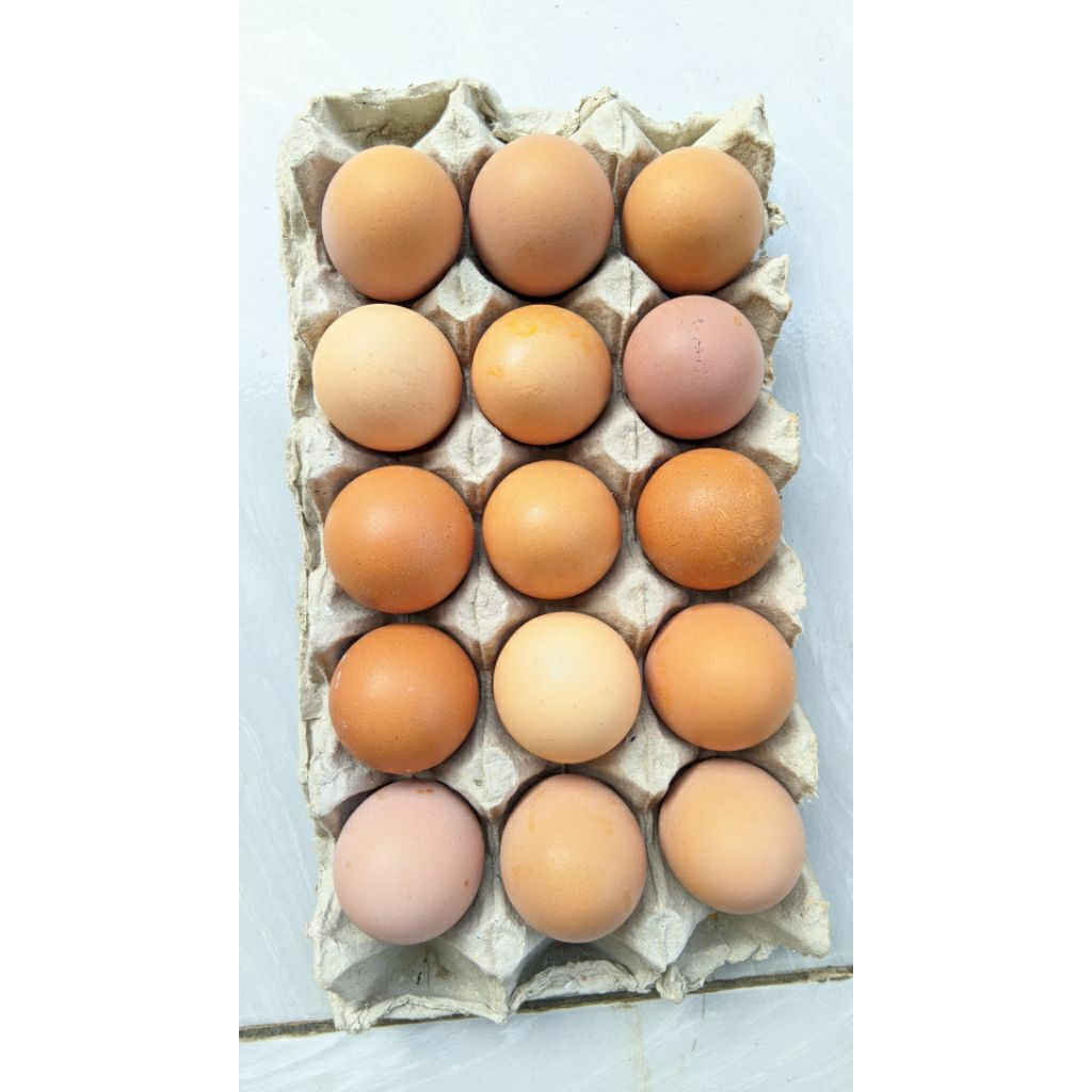 

Telur Ayam.Omega 3 = 250 gr