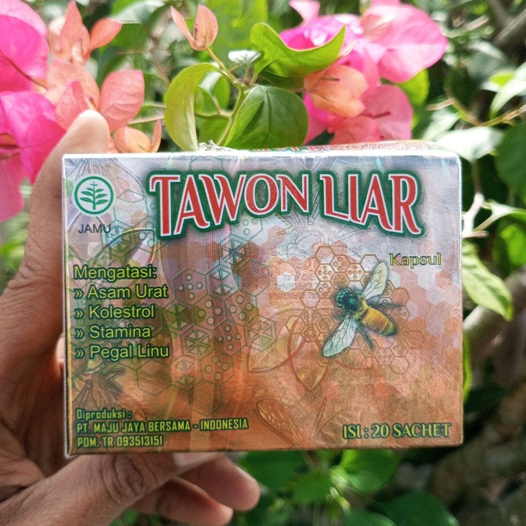 

TAWON LIAR KAPSUL mengatasi asam urat