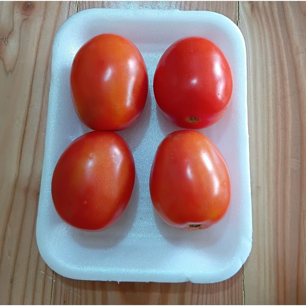 

Tomat segar 250gr