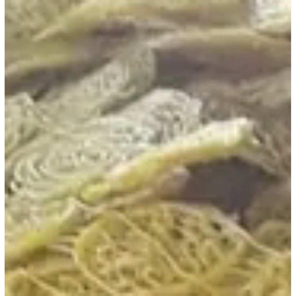 

kerupuk mentah mie 500g