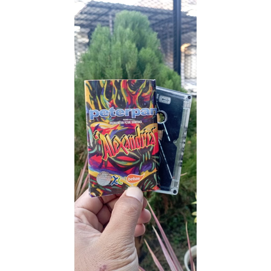 kaset peterpan alexandria