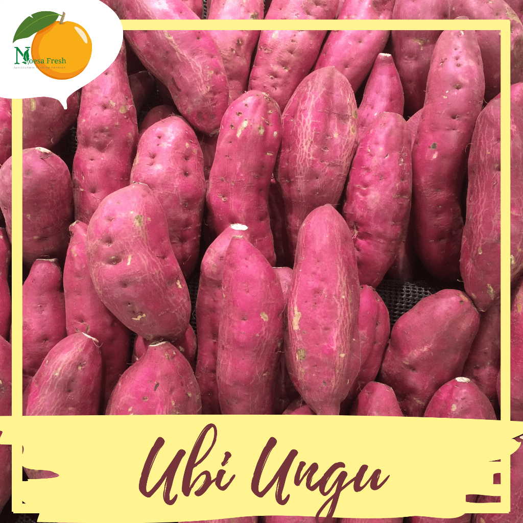 

BERGARANSI! Ubi Ungu Asli Fresh 1kg, 5kg, dan 10kg
